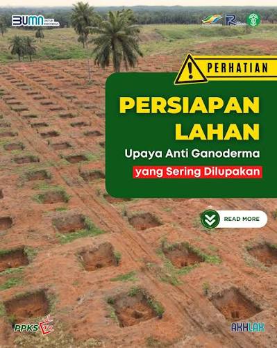 Persiapan Lahan